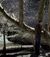 Filename=00363.jpg
Filesize=236KiB
Dimensions=1366x768
Date added=Jul 01, 2012 00363.jpg