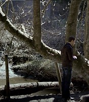 Filename=00364.jpg
Filesize=232KiB
Dimensions=1366x768
Date added=Jul 01, 2012 00364.jpg