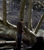 Filename=00365.jpg
Filesize=190KiB
Dimensions=1366x768
Date added=Jul 01, 2012 00365.jpg