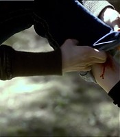 Filename=00367.jpg
Filesize=109KiB
Dimensions=1366x768
Date added=Jul 01, 2012 00367.jpg