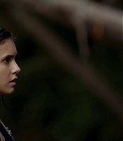 00195.jpg